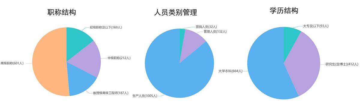 人才结构